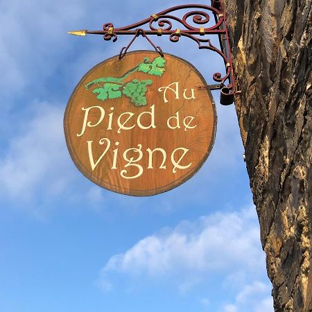 Appart Hotel Au Pied De Vigne Vresse-sur-Semois Exterior foto